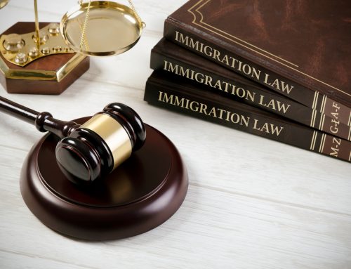 Immigration Court Defense Strategies by an Immigration Lawyer